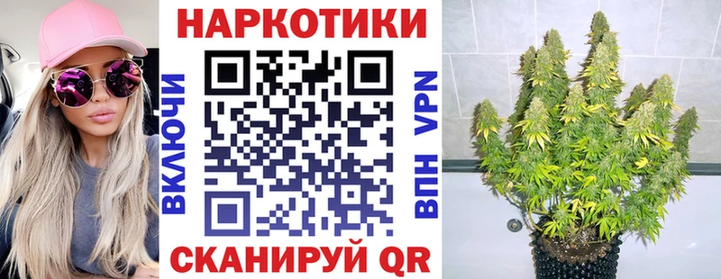 Купить закладку Бошки Шишки  АМФЕТАМИН  Альфа ПВП  Гашиш  Меф мяу мяу  Спасск-Рязанский