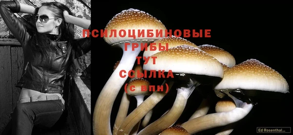 марки lsd Лихославль