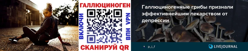 Псилоцибиновые грибы Magic Shrooms  Купить  Спасск-Рязанский 